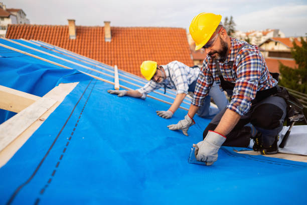 Fast & Reliable Emergency Roof Repairs in Newhall, IA